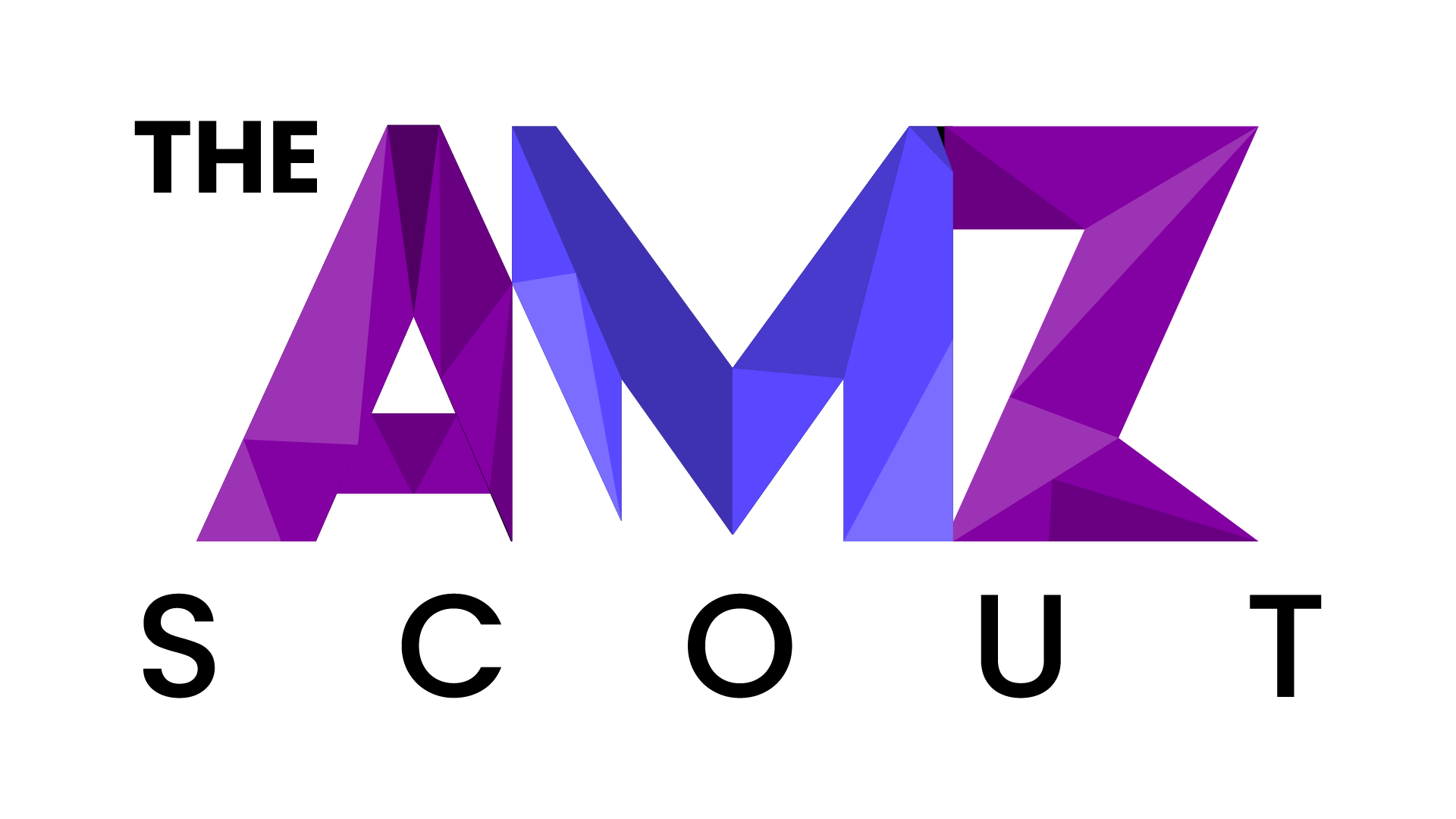 The Amz Scout
